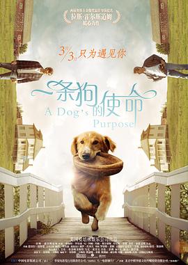 久久久久久综合成人精品